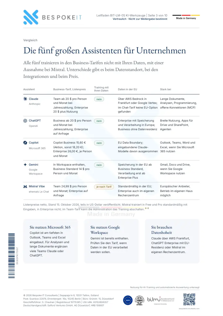 Seite 3 des Leitfadens KI im Unternehmen nutzen: Claude, ChatGPT und Co.